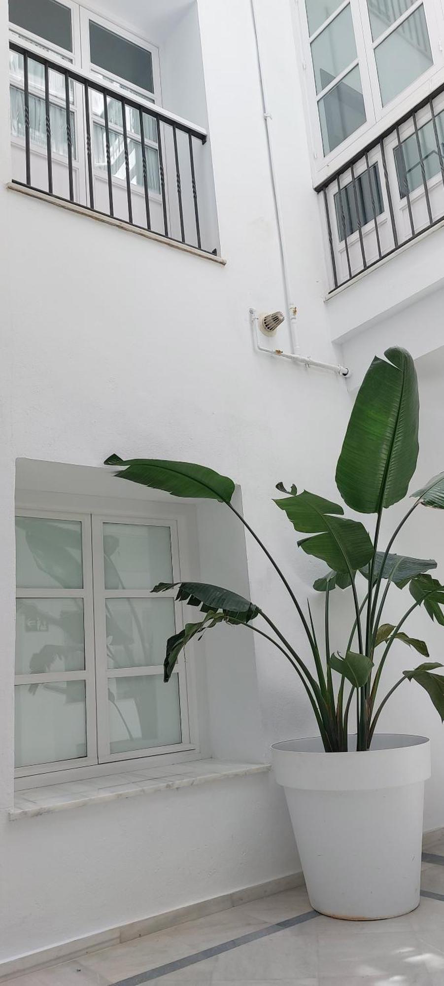 Apartamento el 2 de Flamenco BB Cádiz Exterior foto